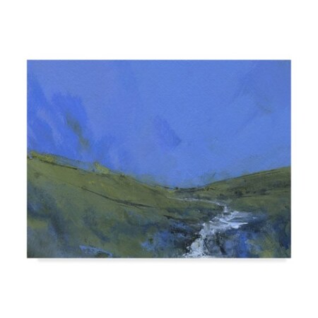 Trademark Fine Art Paul Bailey 'Afon Claerwen' Canvas Art, 24x32 WAG08257-C2432GG